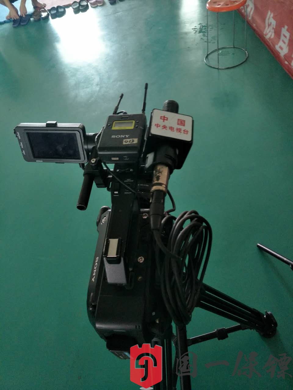 cctv9要拍摄一部关于女保镖记录片来远德国一保镖公司拍摄女保镖的日常生活训练