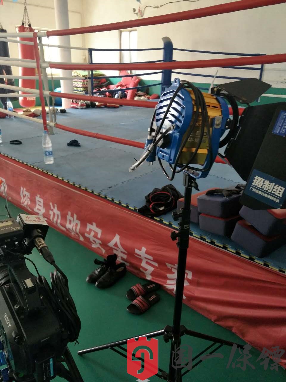 cctv9要拍摄一部关于女保镖记录片来远德国一保镖公司拍摄女保镖的日常生活训练